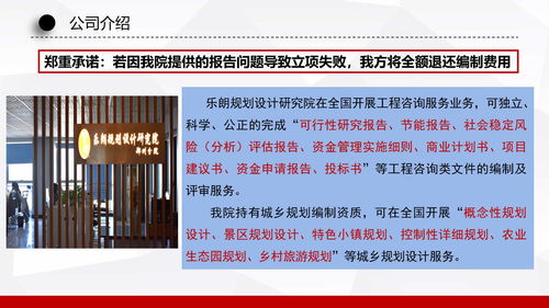 安平縣商業計劃書與方案策劃服務 社會經濟咨詢助力企業發展